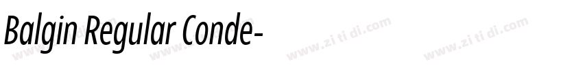 Balgin Regular Conde字体转换